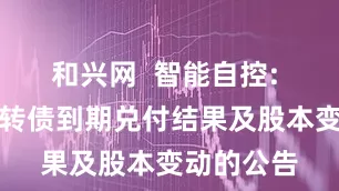 和兴网 智能自控: 关于智能转债到期兑付结果及股本变动的公告