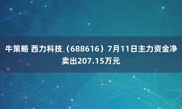 牛策略 西力科技（688616）7月11日主力资金净卖出207.15万元