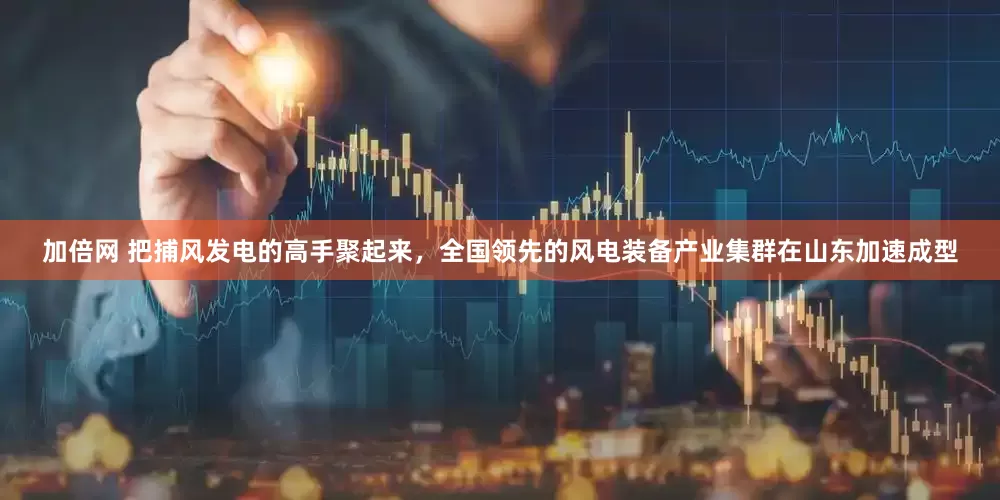 加倍网 把捕风发电的高手聚起来，全国领先的风电装备产业集群在山东加速成型