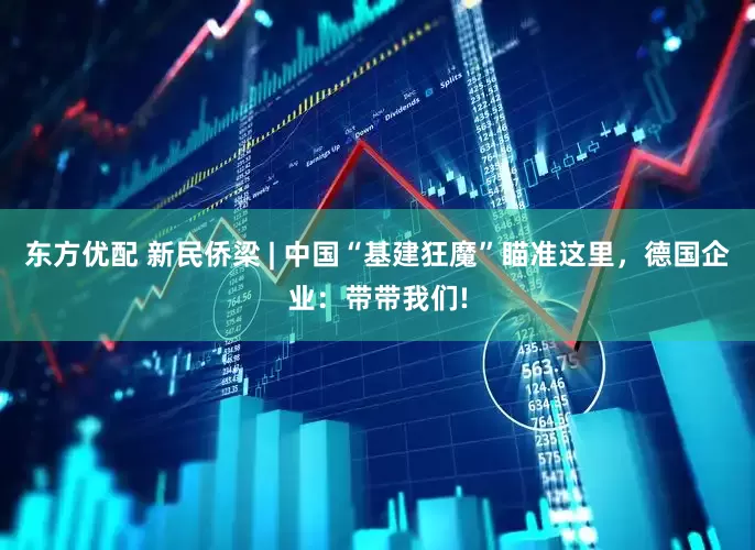 东方优配 新民侨梁 | 中国“基建狂魔”瞄准这里，德国企业：带带我们!