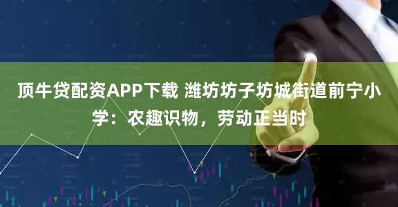 顶牛贷配资APP下载 潍坊坊子坊城街道前宁小学：农趣识物，劳动正当时