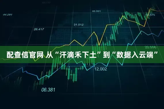 配查信官网 从“汗滴禾下土”到“数据入云端”